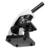 Микроскоп школьный Микромед Эврика 40x-1600x (вар. 3) с видеоокуляром Микроскоп школьный Микромед Эврика 40x-1600x (вар. 3) с видеоокуляром