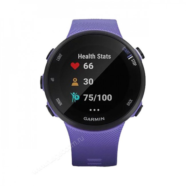Часы Garmin Forerunner 45S ирис
